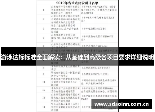 游泳达标标准全面解读：从基础到高级各项目要求详细说明